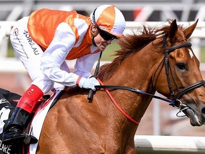 Vow And Declare Ready To Meet Melbourne Cup Challengers Head ... Image 1